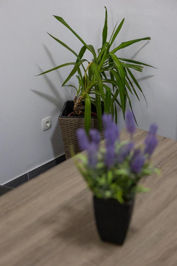 Apartman Toni سبليت المظهر الخارجي الصورة